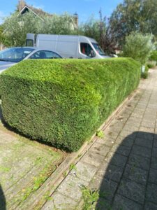 2. Gebruik een touw als richtlijn: