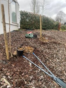 3. Plant er meerdere