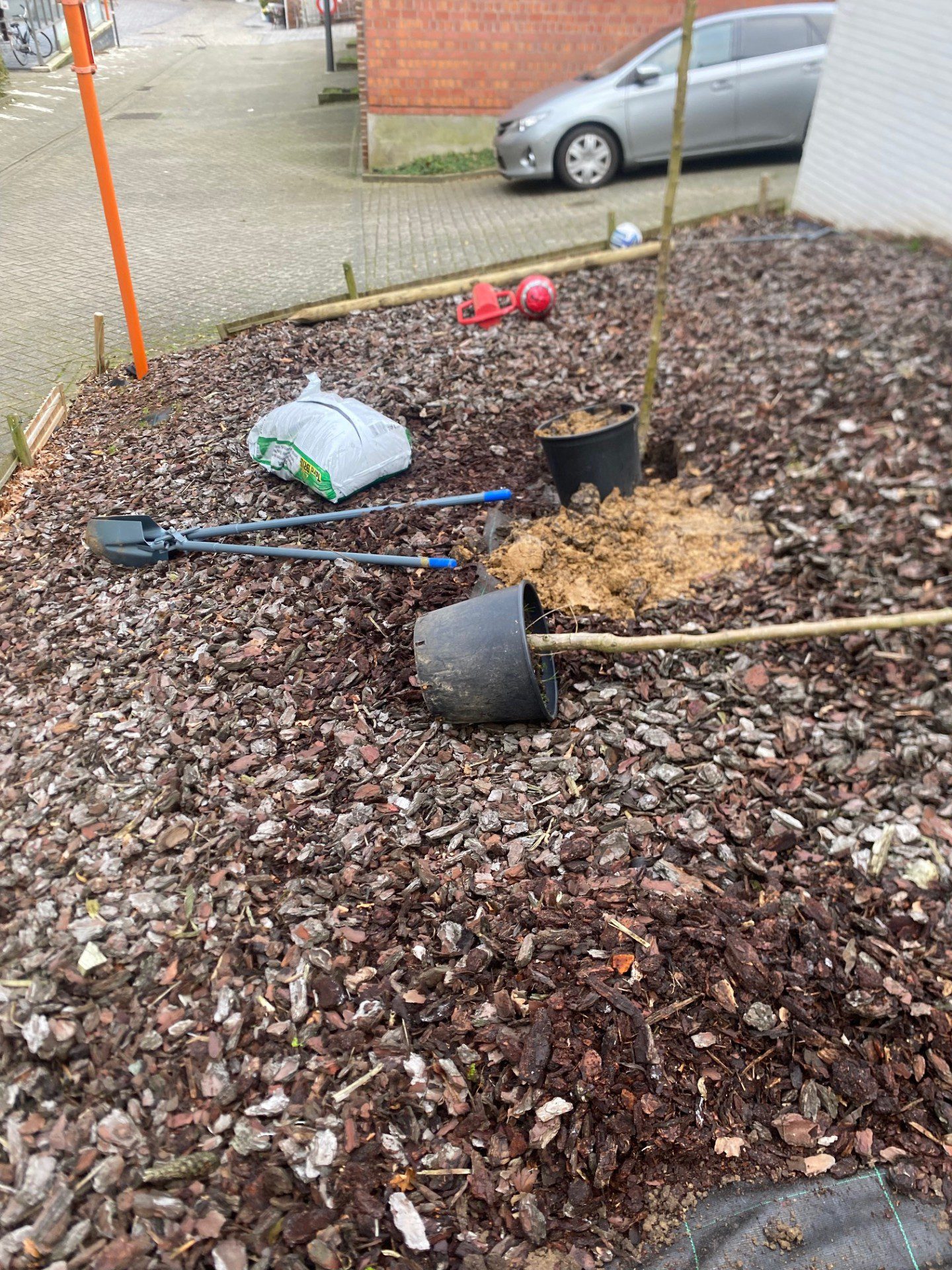 1.Bescherm jonge bomen tegen wildvraat