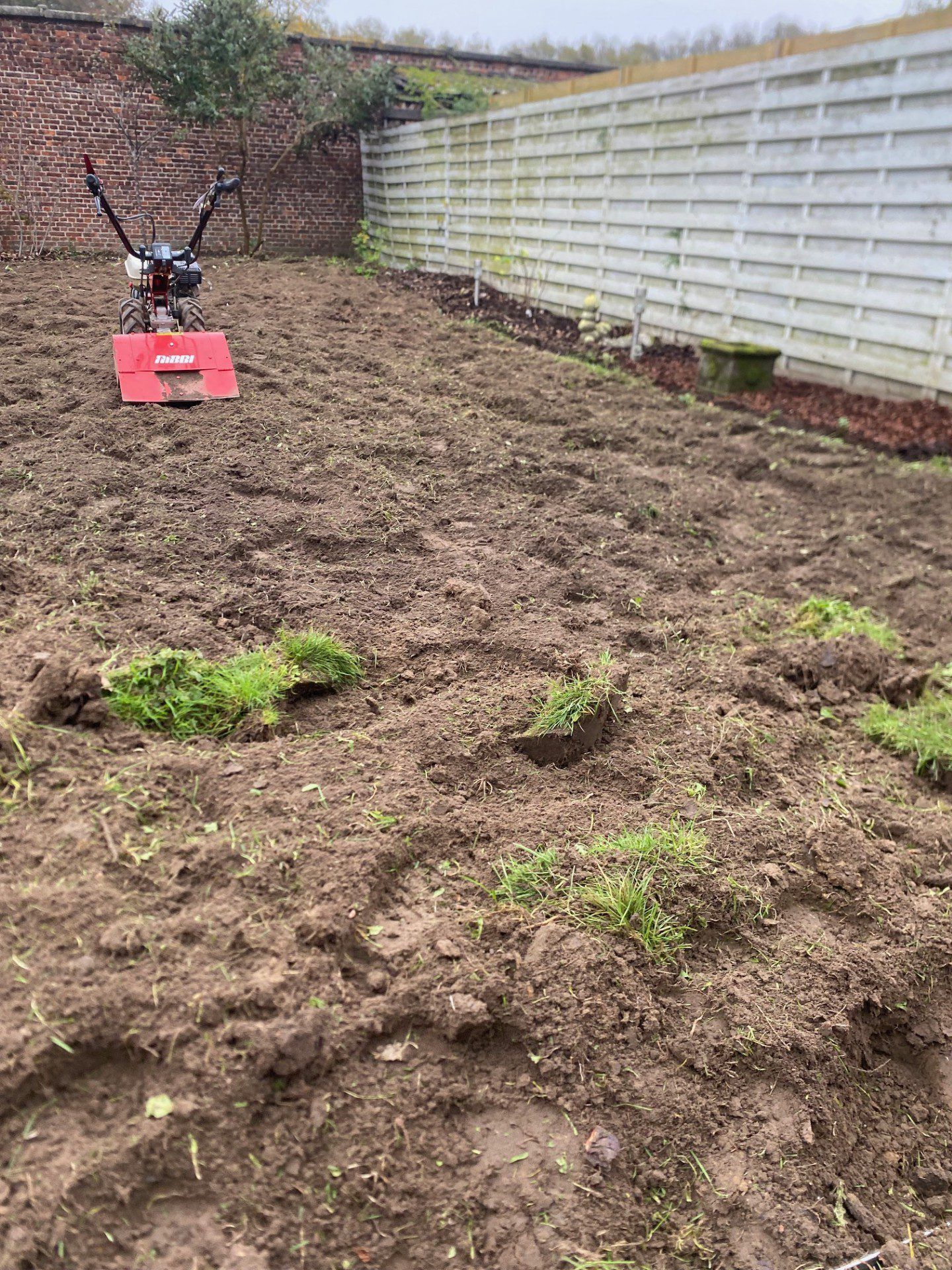 2. Rol de grasmat na een paar dagen opnieuw aan